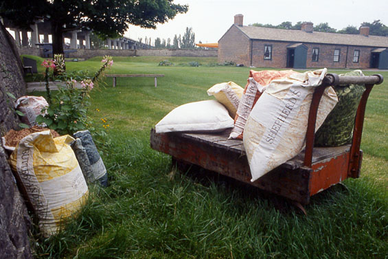 Captured & Escaped, 1995, detail (alien wildflowers, seed bags, cart)