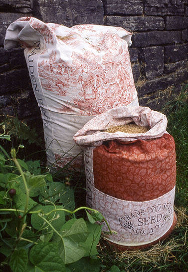 Captured & Escaped, 1995, detail (alien wildflowers and seed bags)