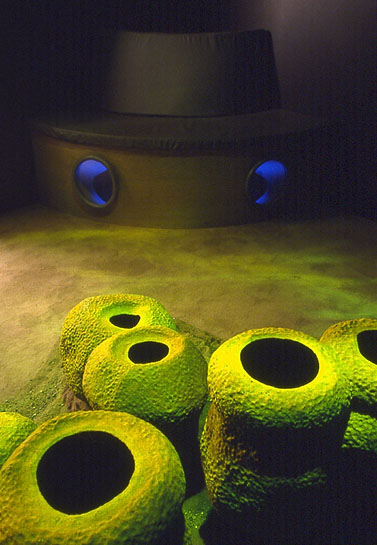 Like Ancient Pots spilled from a drowning ship, tube sponges bulge eerily …, 1993, detail (interior of room, mixed media)